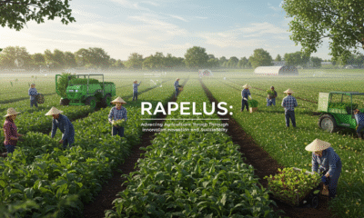 rapelusr