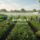 rapelusr