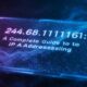 264.68.111.161